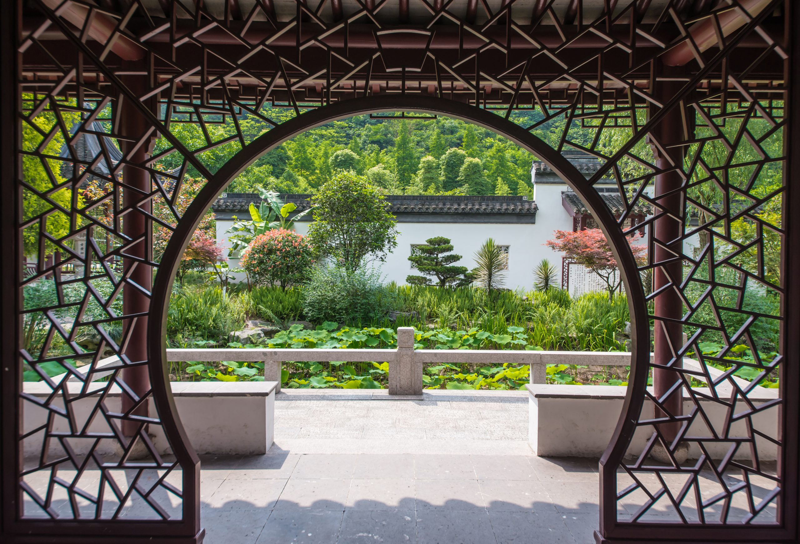 Corporate Wellness Garden