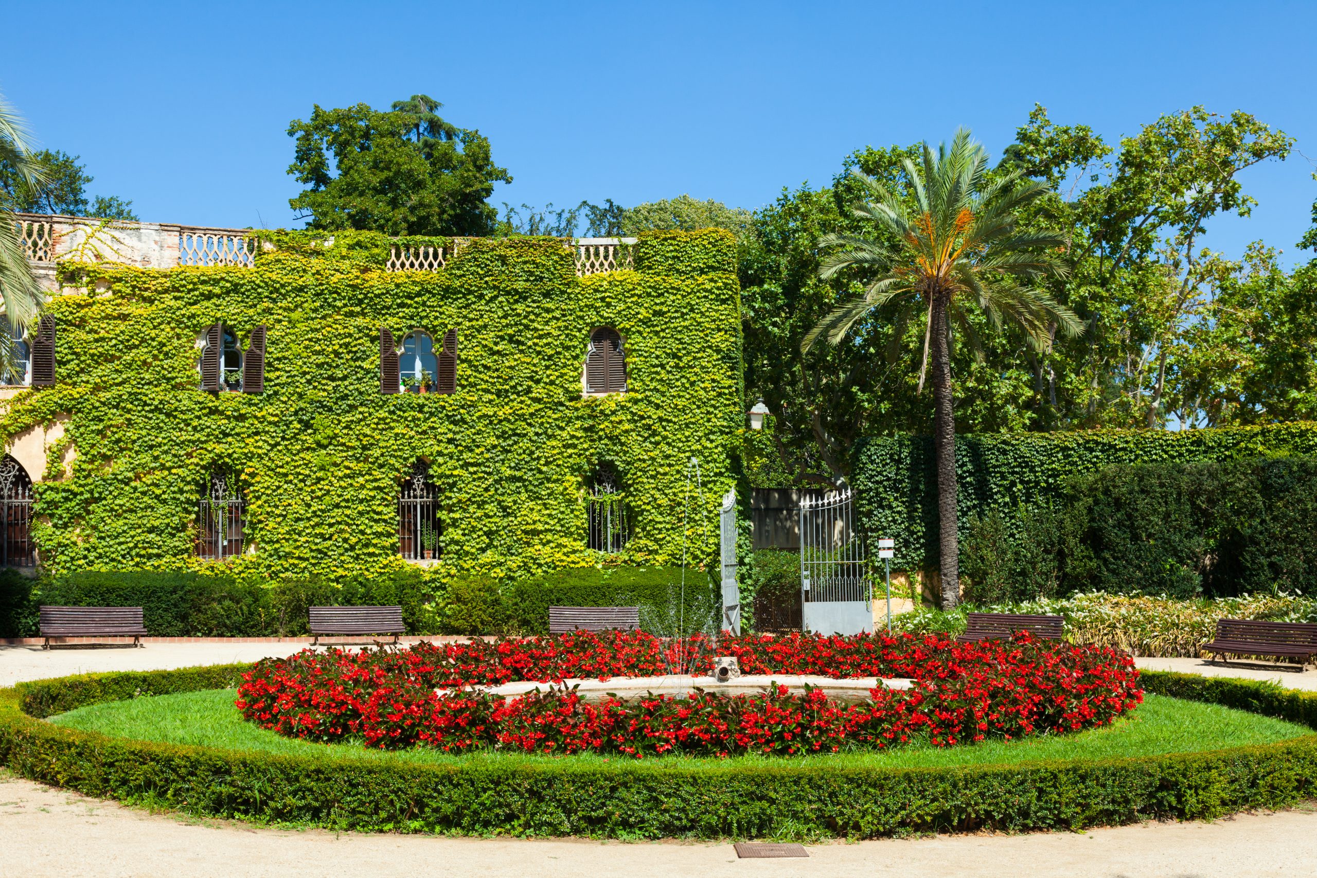 Downtown Restaurant Garden
