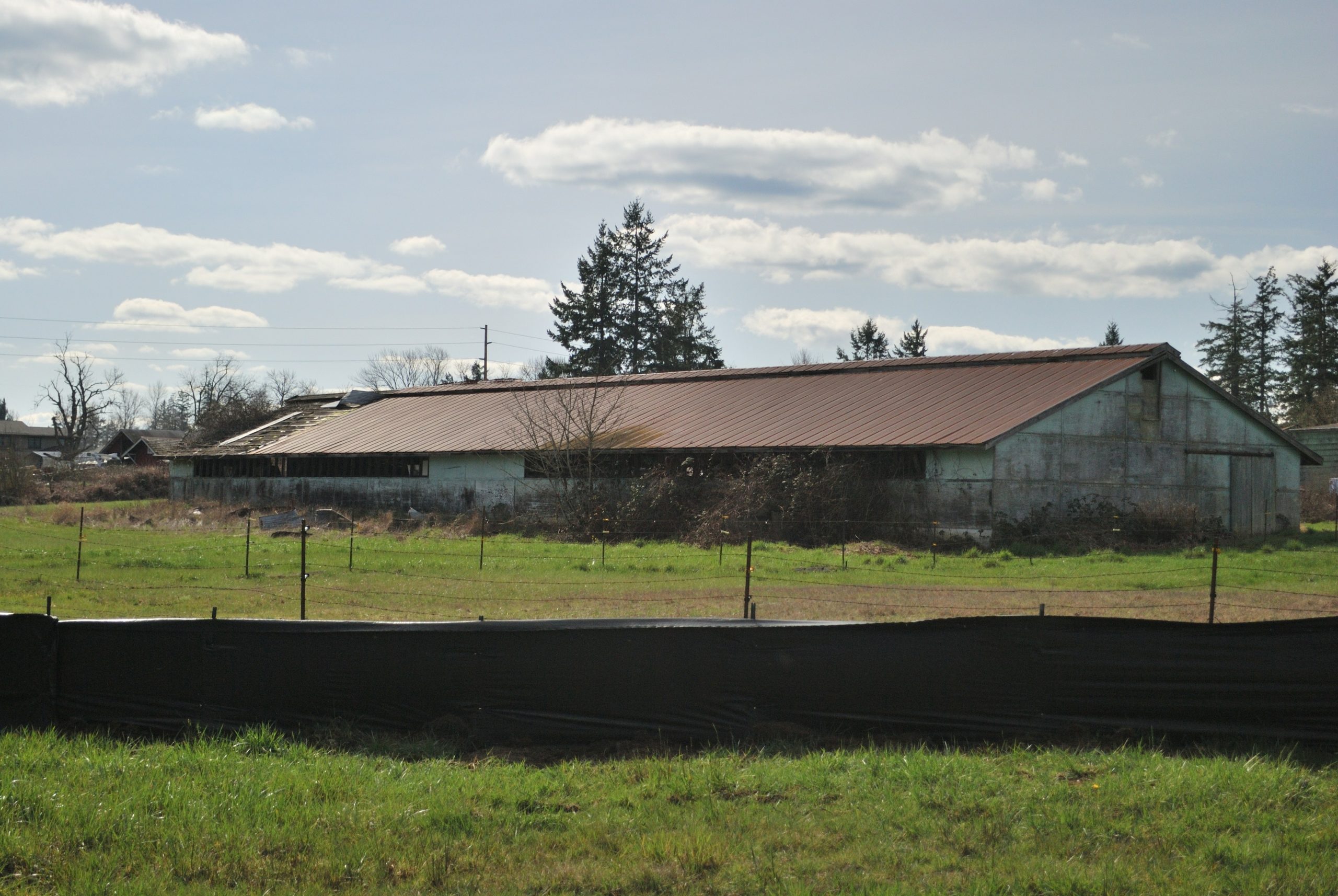 Community Urban Farm