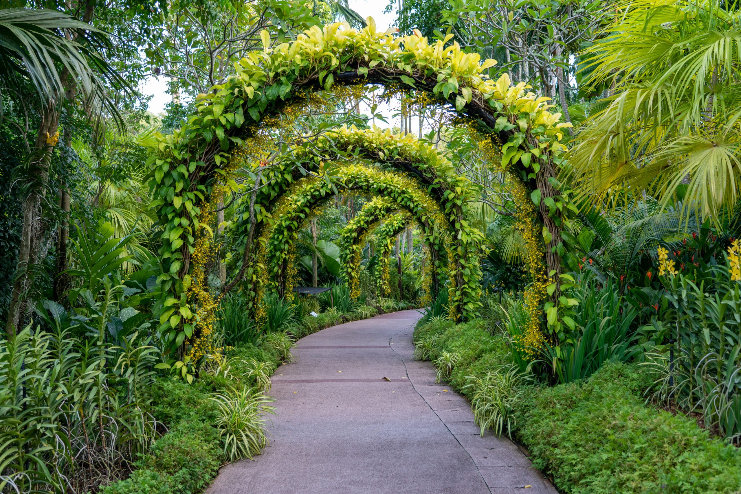 Vertical Garden Paradise