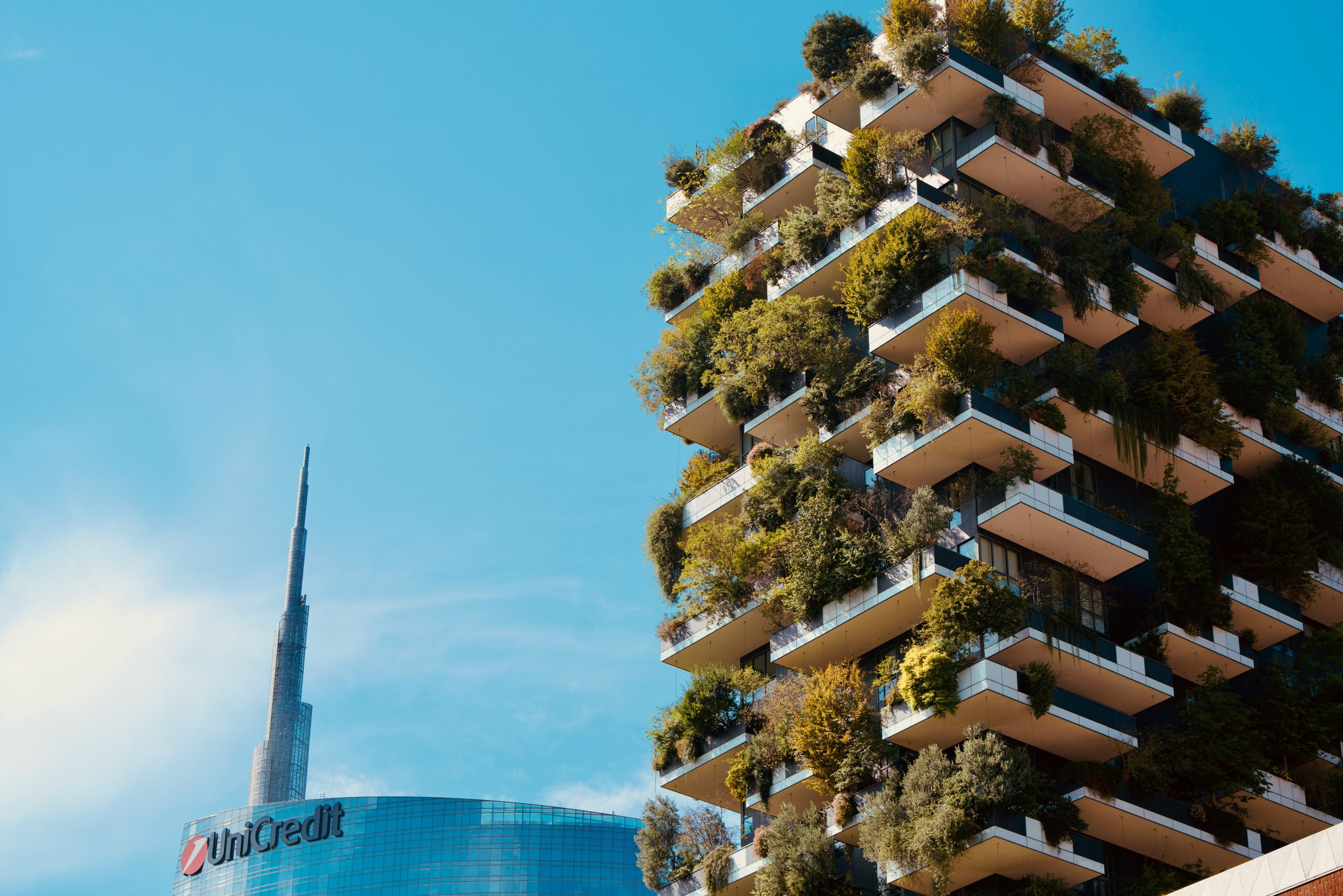Sustainable Balcony Oasis